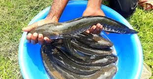 WhatsApp Image 2025-07-25 at 18.37.56_986dc952.jpg